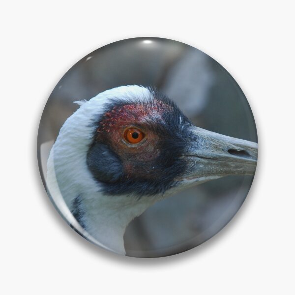 Item preview, Central Park Zoo, White-naped crane (Antigone vipio) designed and sold by capovtxphotography.