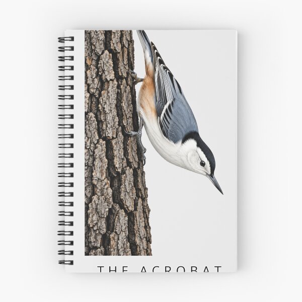 Item preview, The Forager - Downy Woodpecker designed and sold by SusanSweetArt.