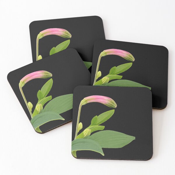 Item preview, Pink Parrot Lily Bud – Dark Botanical Nature Art designed and sold by PicturePic.
