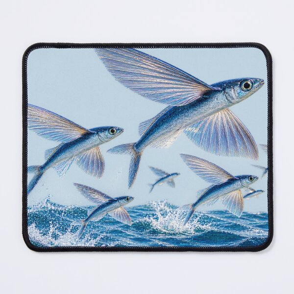 Item preview, Flying Fish designed and sold by Poplartree.