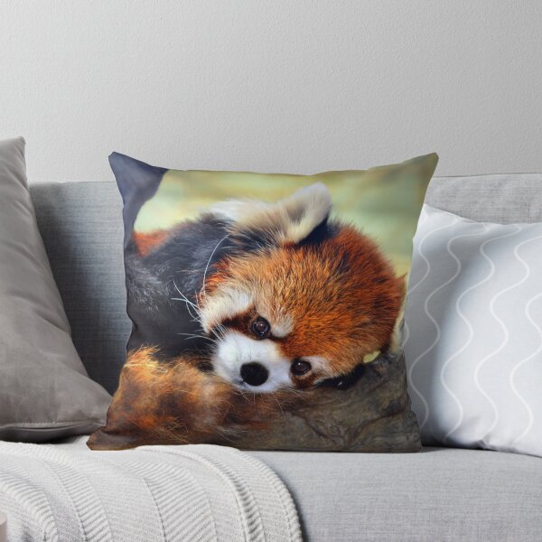 Item preview, Red Panda Resting on Tree designed and sold by Savannah Gibbs.
