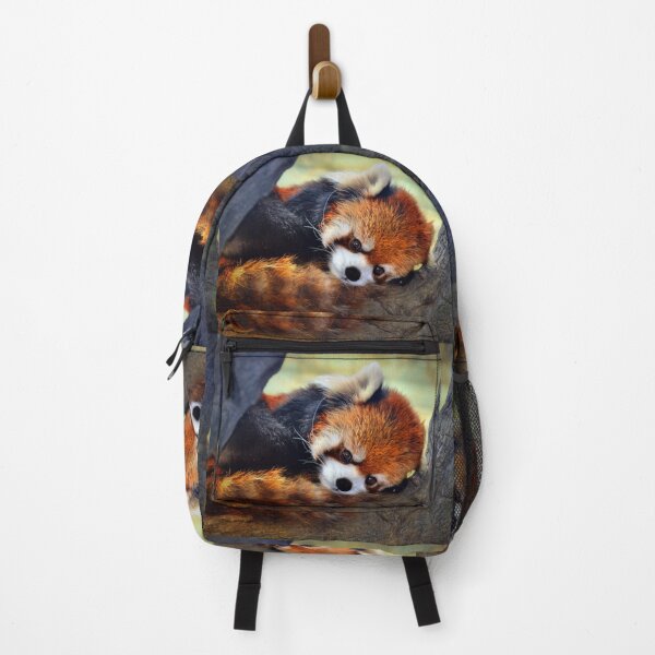 Item preview, Red Panda Resting on Tree designed and sold by Savannah Gibbs.