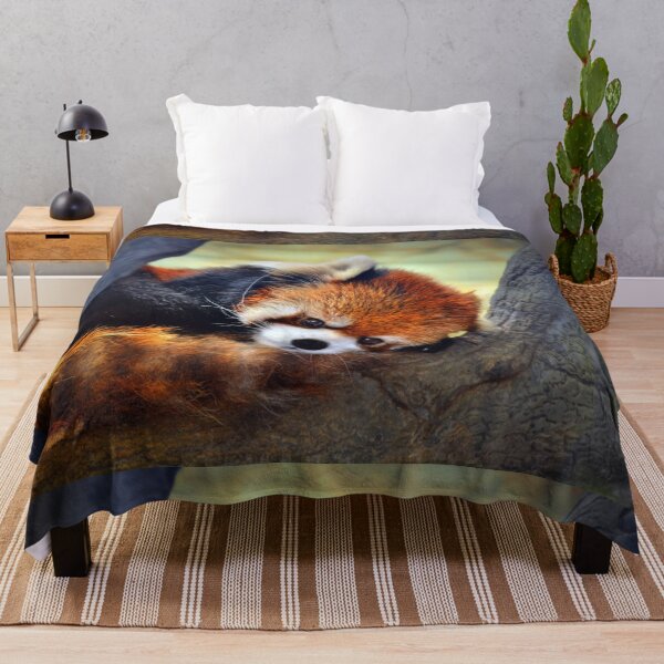 Item preview, Red Panda Resting on Tree designed and sold by Savannah Gibbs.