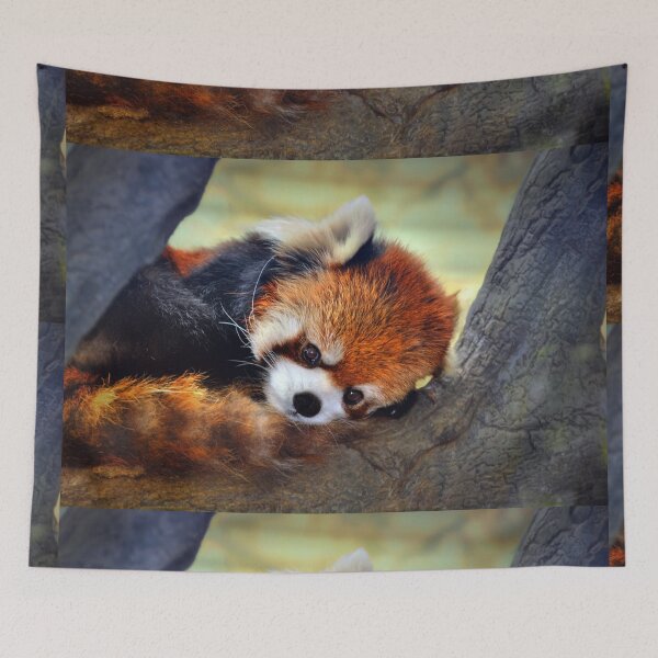 Item preview, Red Panda Resting on Tree designed and sold by Savannah Gibbs.
