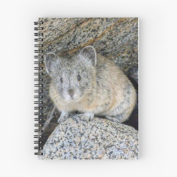 Item preview, Mountain Pika  designed and sold by Scott Collins.
