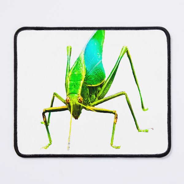 Item preview, Electric Green – A Colourful Katydid Close-Up designed and sold by JUSTtheAUDACITY.