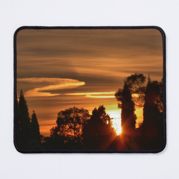 Item preview, A Silhouette of Trees designed and sold by Larry Davis.
