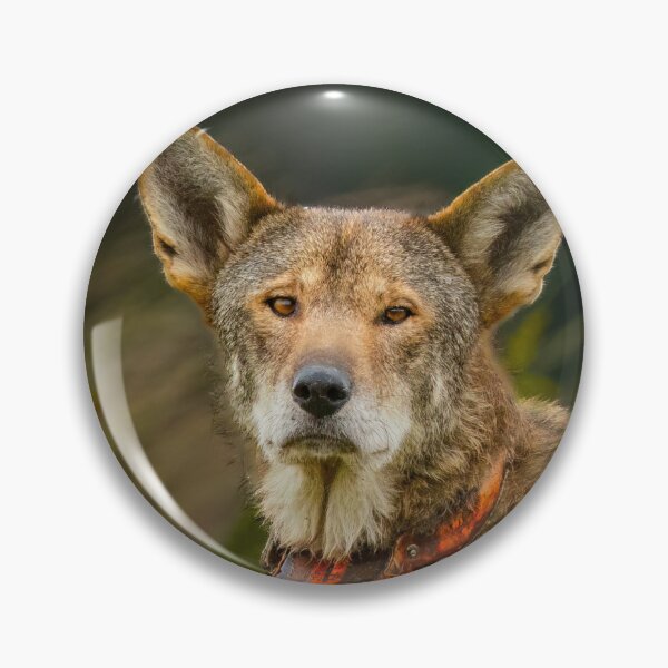 Item preview, Finch, the Red Wolf  designed and sold by Shannon Emmel .