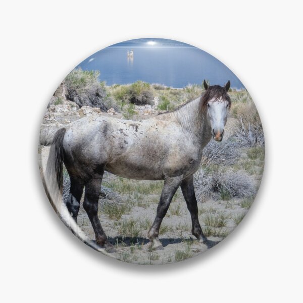 Item preview, A Wildhorse at Mono Lake  designed and sold by Scott Collins.