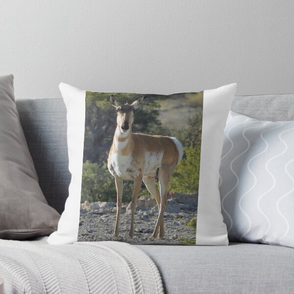 Aperçu de l'œuvre Une antilope pronghorn enceinte observe créée et vendue par Scott Collins.