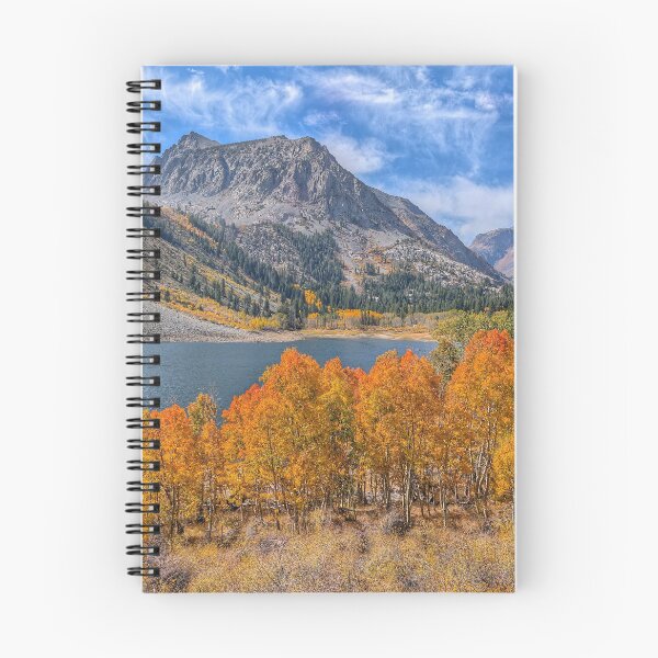 Artikelvorschau, Herbstlaub in der östlichen Sierra Nevada entworfen und verkauft von Scott Collins.