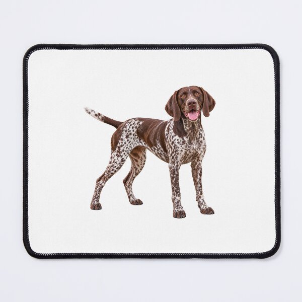 Item preview, German Shorthair Pointer Dog standing  designed and sold by BackgroundND.