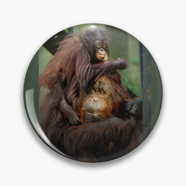 Item preview, Orangutan Mother and Baby Bonding designed and sold by Savannah Gibbs.