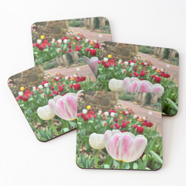 Item preview, White and Pink Variegated Tulip in Colourful Spring Garden designed and sold by Be Captured by Brittany Emma.