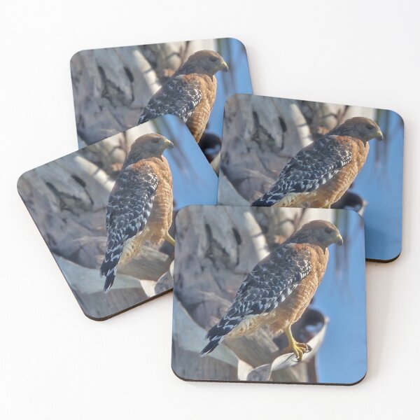 Item preview, Red-shouldered Hawk designed and sold by MoorCT522.