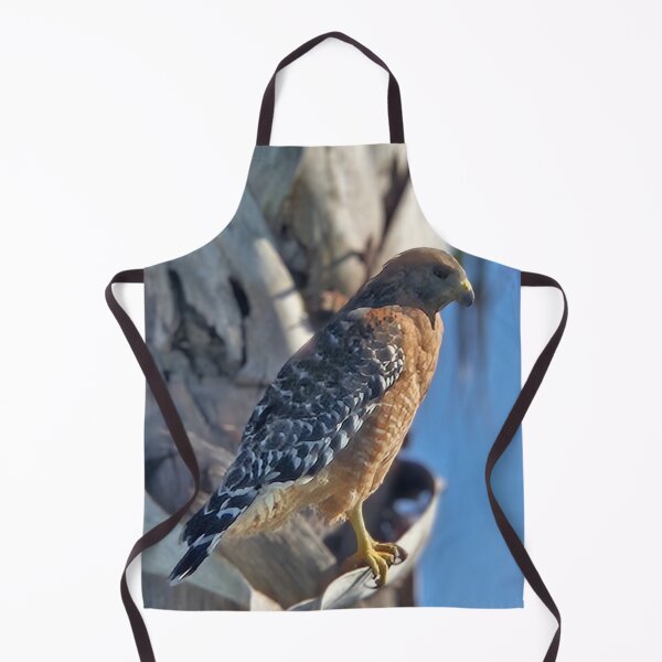 Item preview, Red-shouldered Hawk designed and sold by MoorCT522.