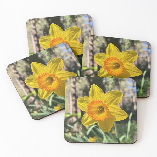 Item preview, Bright Yellow Daffodil with Orange Trumpet in Spring Sunlight designed and sold by Be Captured by Brittany Emma.