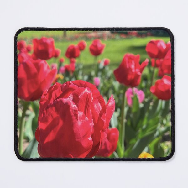 Item preview, Vibrant Red Tulips Blooming in a Sunny Spring Garden designed and sold by Be Captured by Brittany Emma.