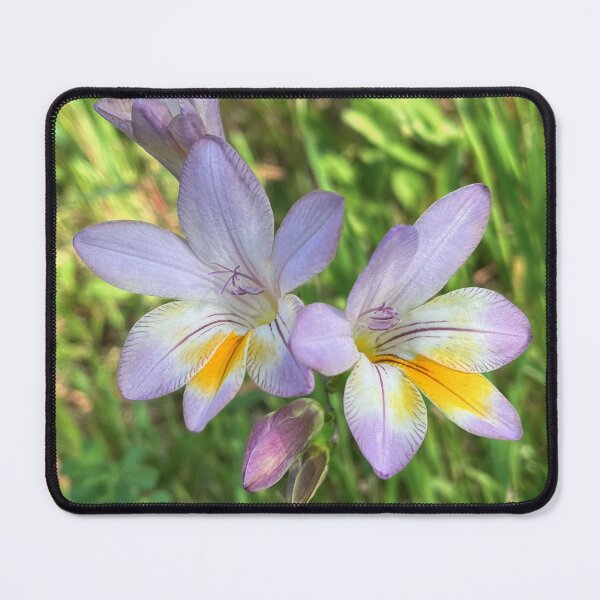 Item preview, Delicate Lavender Freesia Flowers with Yellow Centres in Green Garden designed and sold by Be Captured by Brittany Emma.