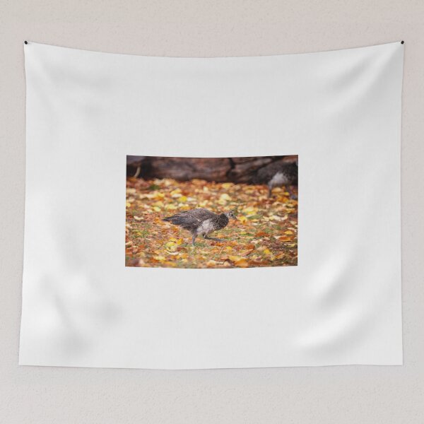 Item preview, Peachick designed and sold by D-GaP.