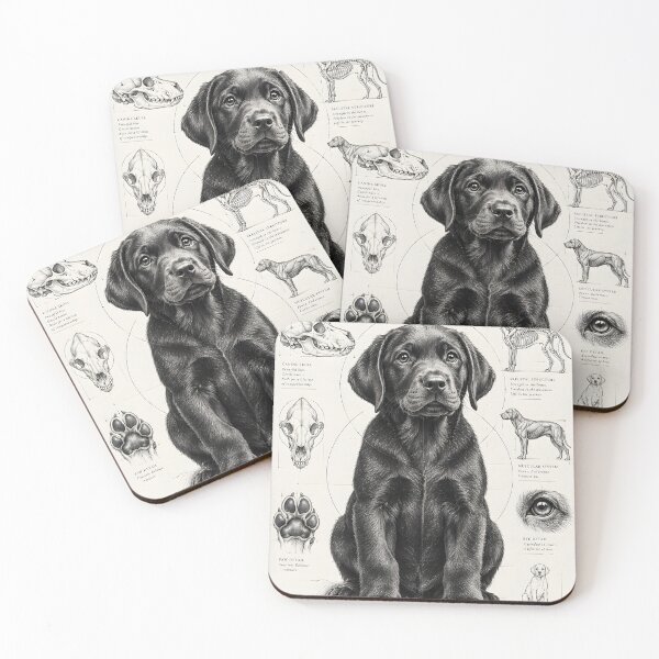Item preview, GCR1 Labrador Puppy Anatomy Art – Vintage Scientific Dog Illustration designed and sold by GCR1.