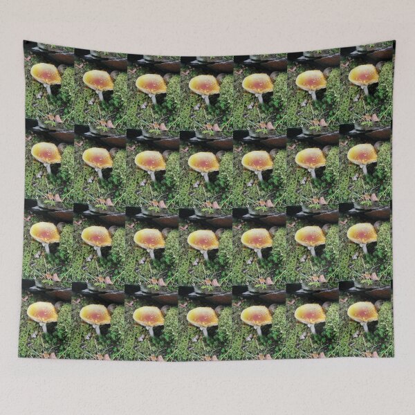 Item preview, fungi designed and sold by KathleenDawson.