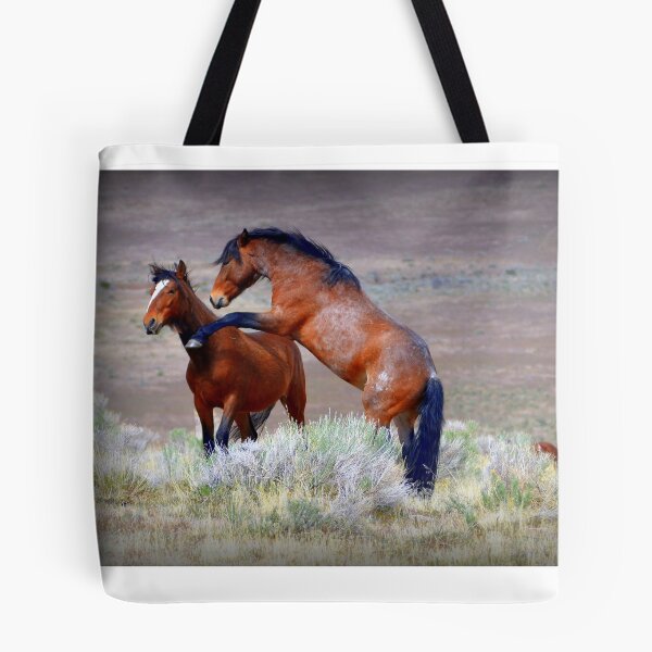Item preview, Horseplay designed and sold by Betsy Warner Photography.