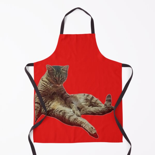 Artikelvorschau, Lustiges Meme: Grumpy Cat sitzt da wie ein Boss entworfen und verkauft von Funnygiftsstudio .