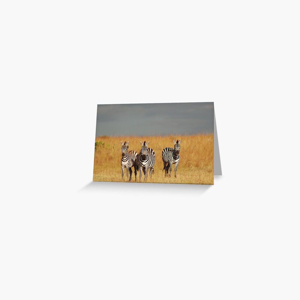 Zebras in the Masai Mara Greeting Card