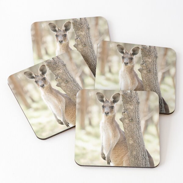 Item preview, Eastern Grey Kangaroo at Tinchi Tamba Wetlands designed and sold by robdanimalphotography.
