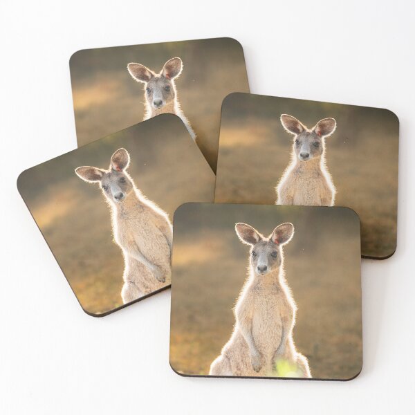 Item preview, Eastern Grey Kangaroo at Tinchi Tamba Wetlands designed and sold by robdanimalphotography.