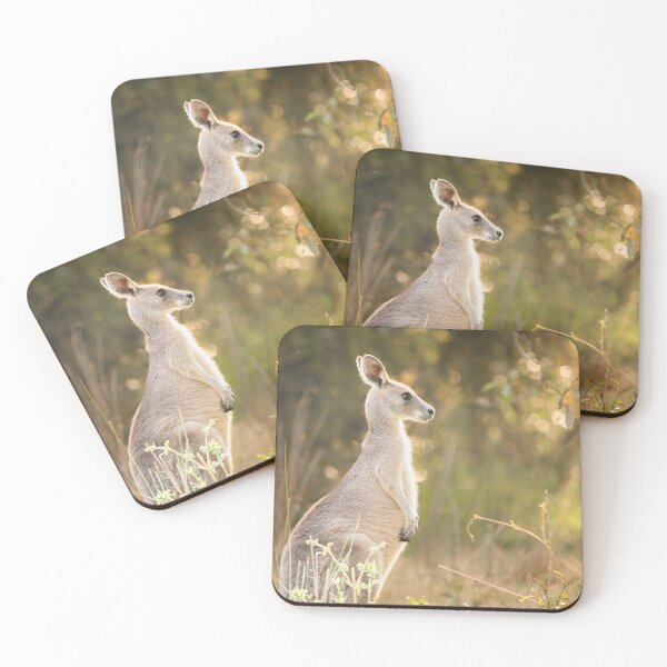 Item preview, Eastern Grey Kangaroo at Tinchi Tamba Wetlands designed and sold by robdanimalphotography.