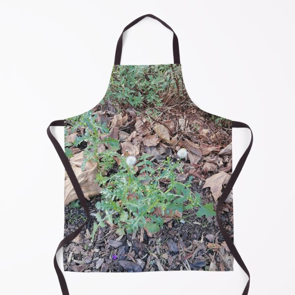 Item preview, White Seed Heads Among Autumn Leaves designed and sold by PhuongVoArt.