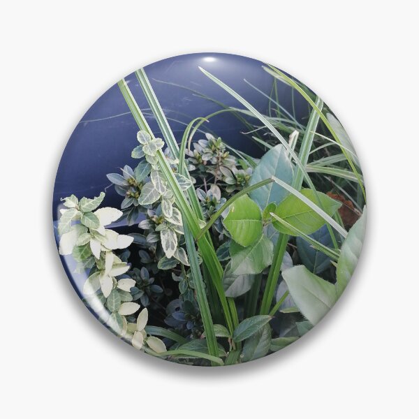 Artikelvorschau, Green Foliage In Decorative Planter entworfen und verkauft von PhuongVoArt.