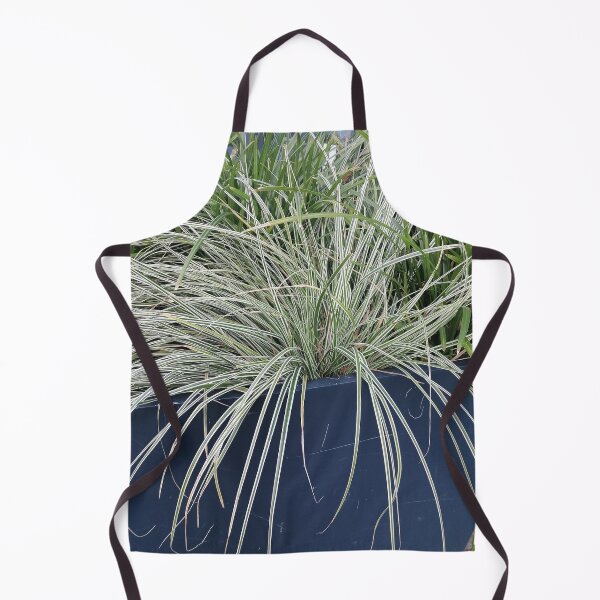 Item preview, Variegated Ornamental Grass In Blue Planter designed and sold by PhuongVoArt.