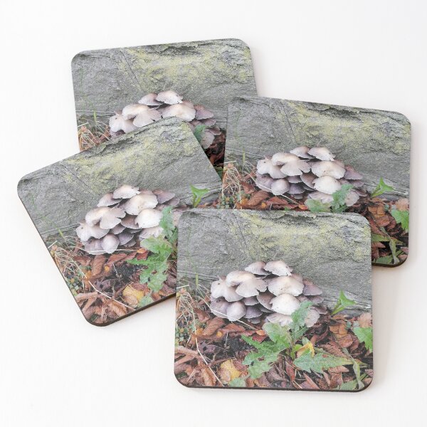 Item preview, Mushrooms Growing Beside An Old Stone Wall designed and sold by PhuongVoArt.
