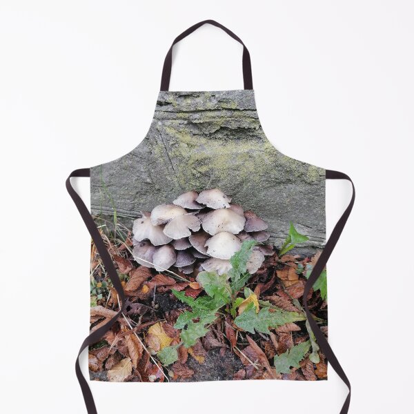 Item preview, Mushrooms Growing Beside An Old Stone Wall designed and sold by PhuongVoArt.