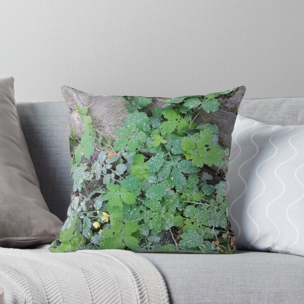 Item preview, Dew Covered Green Leaves Beside Stone Wall designed and sold by PhuongVoArt.