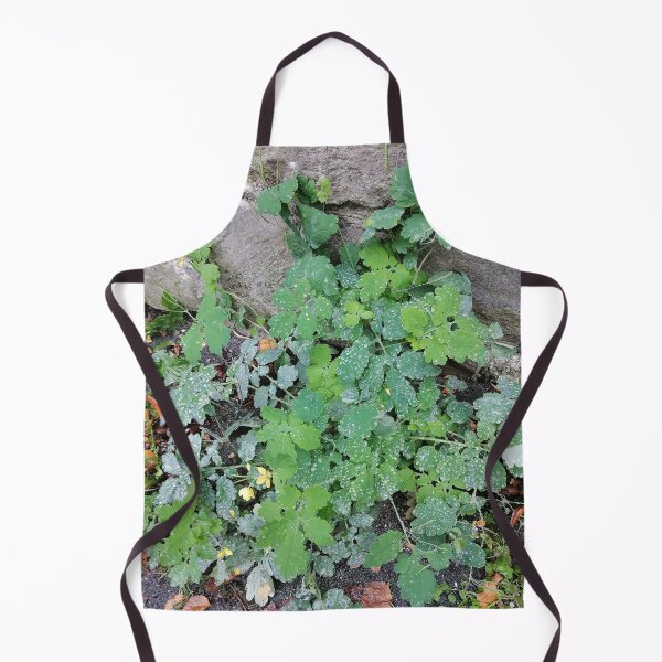 Item preview, Dew Covered Green Leaves Beside Stone Wall designed and sold by PhuongVoArt.