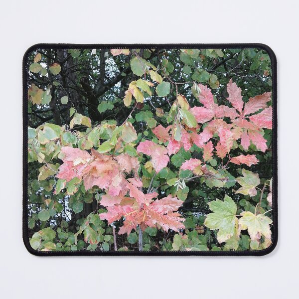 Item preview, Pink Maple Leaves In Autumn Foliage designed and sold by PhuongVoArt.