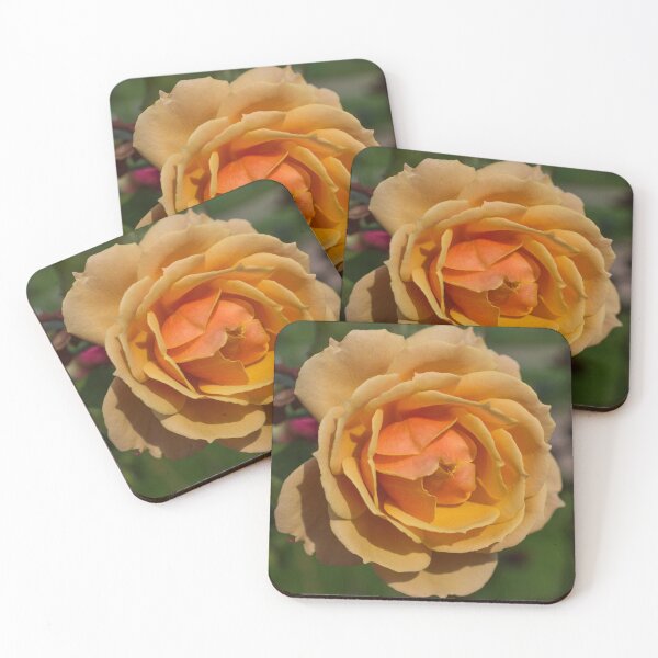 Item preview, Simply a Rose  designed and sold by Georgia Mizuleva.