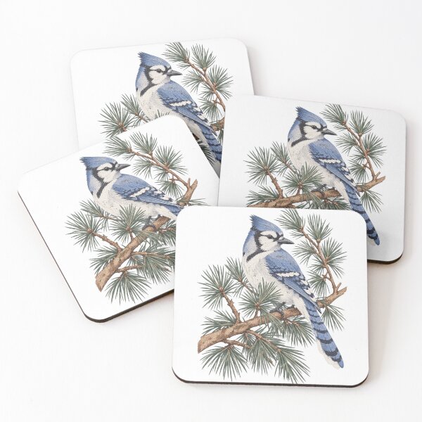 Item preview, Blue jay on a pine branch, vintage bird, ornithology, nature designed and sold by LongIslandDesgn.