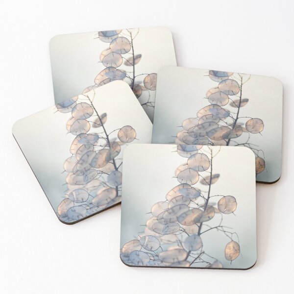 Item preview, Minimalist Lunaria Annua Honesty Plant in Soft Light designed and sold by Catrinann.