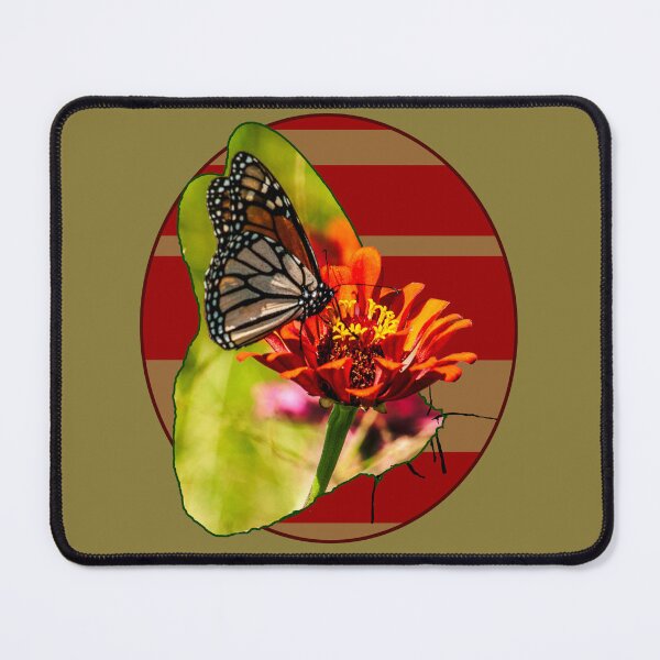 Item preview, Monarch Butterfly on Orange Coneflower designed and sold by michaelasamples.