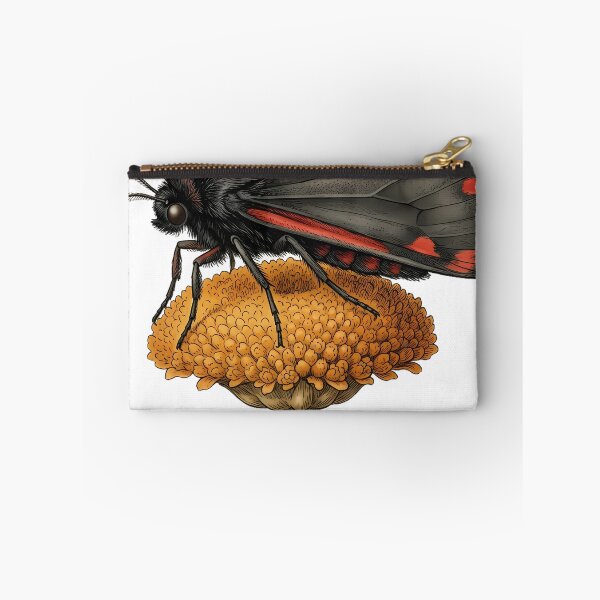Item preview, Vintage Naturalist Cinnabar Moth on Tansy — Antique Moth Art designed and sold by Catch333.