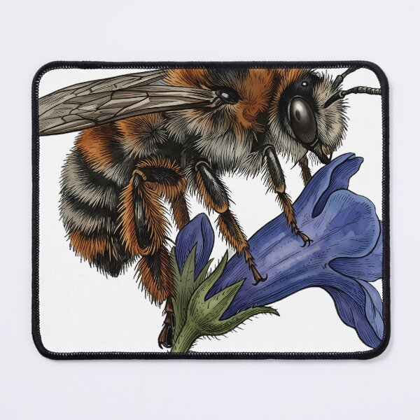 Item preview, Vintage Naturalist Hairy-Footed Flower Bee on Lungwort — Antique Bee Plate designed and sold by Catch333.