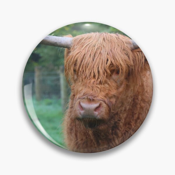 Item preview, Scottish Highland Cow designed and sold by LeanneAllen.