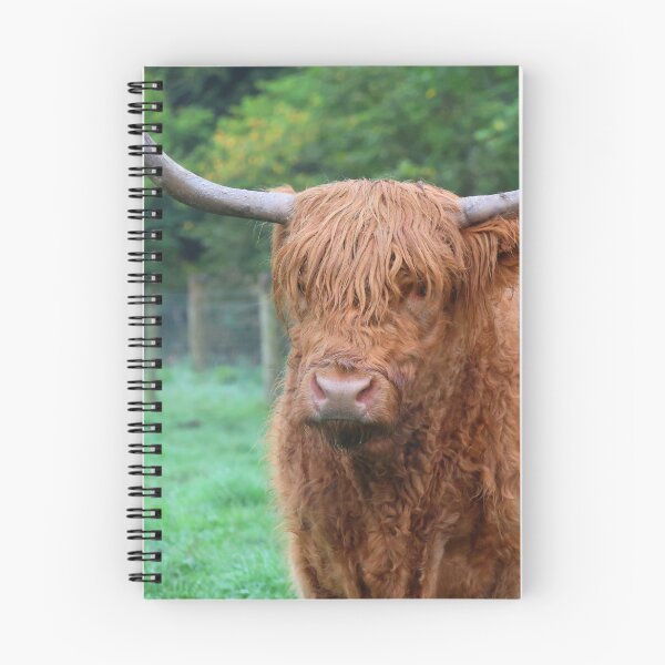 Item preview, Scottish Highland Cow designed and sold by LeanneAllen.