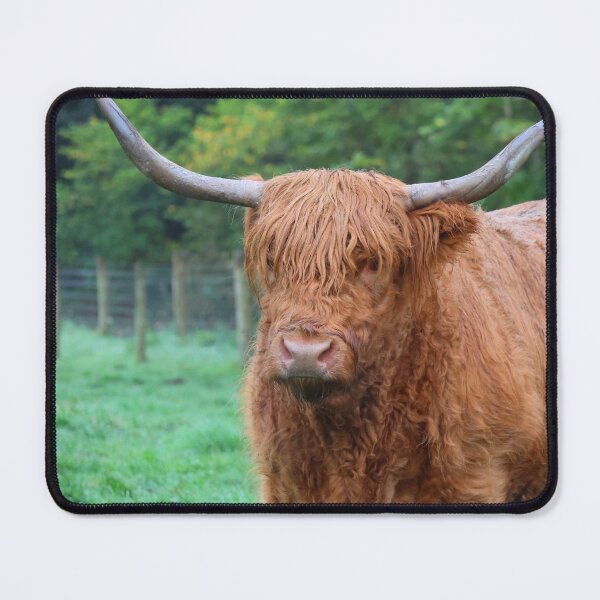 Item preview, Scottish Highland Cow designed and sold by LeanneAllen.