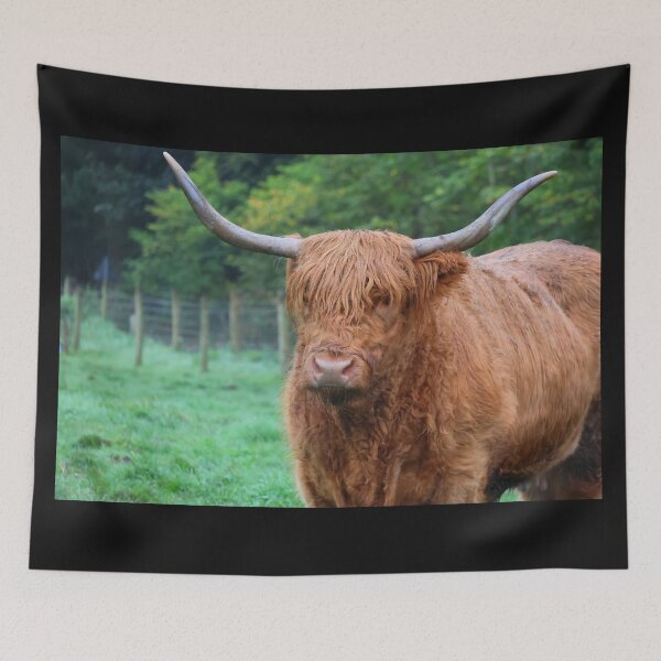 Item preview, Scottish Highland Cow designed and sold by LeanneAllen.